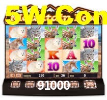 91000 Bet